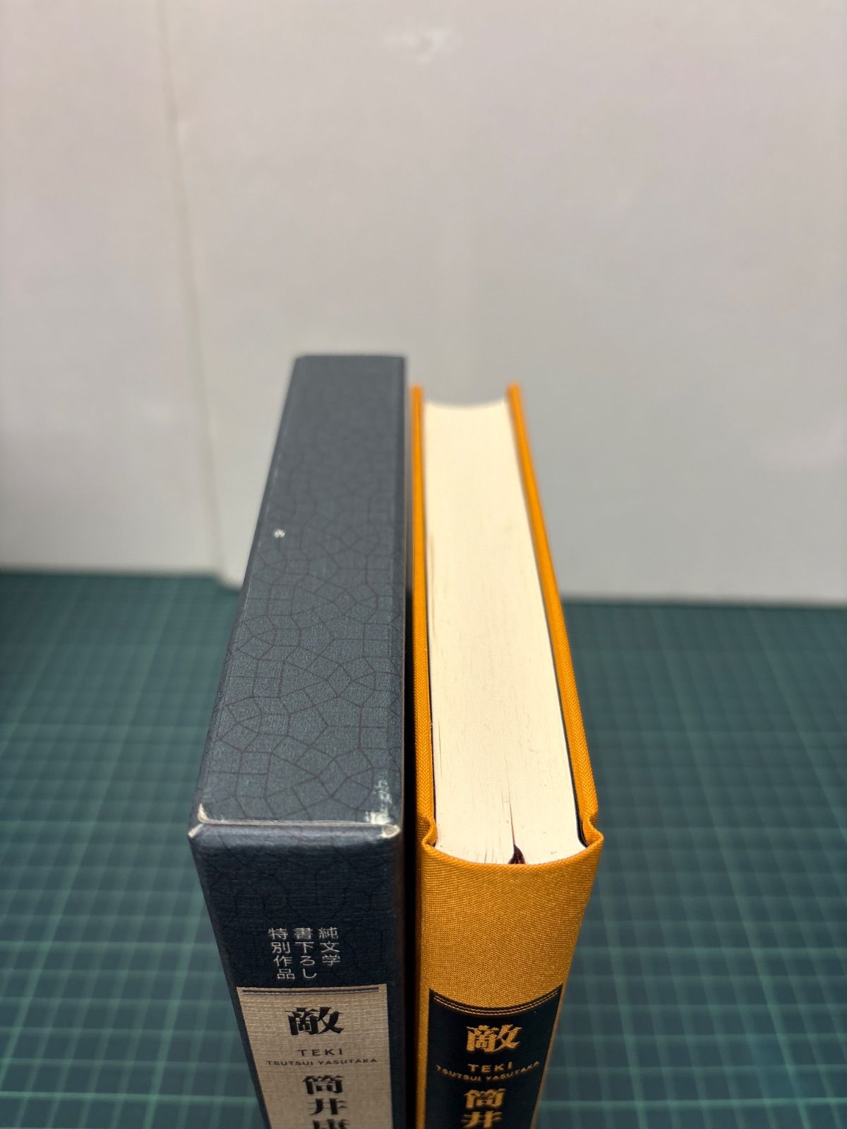 純文学書下ろし特別作品 敵 筒井康隆 1998年 初版 新潮社 単行本 帯