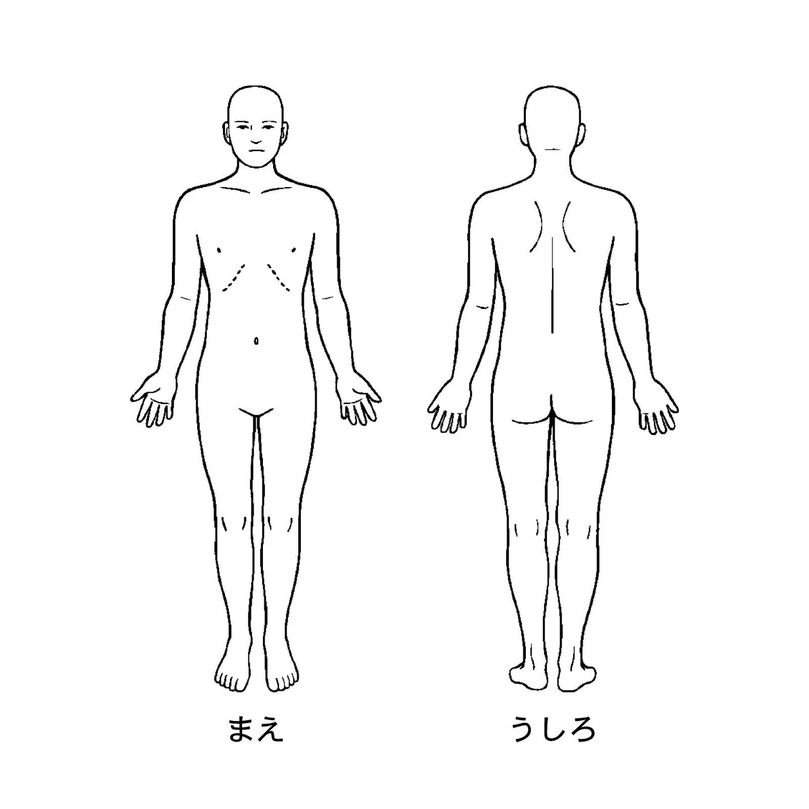 人体図 ゴム印 スタンプ 小 58mm×24mm / 全身 前面 後面 単品 医療用 カルテ用 業務用 記録用 申し送り 医者 先生 看護師 ...