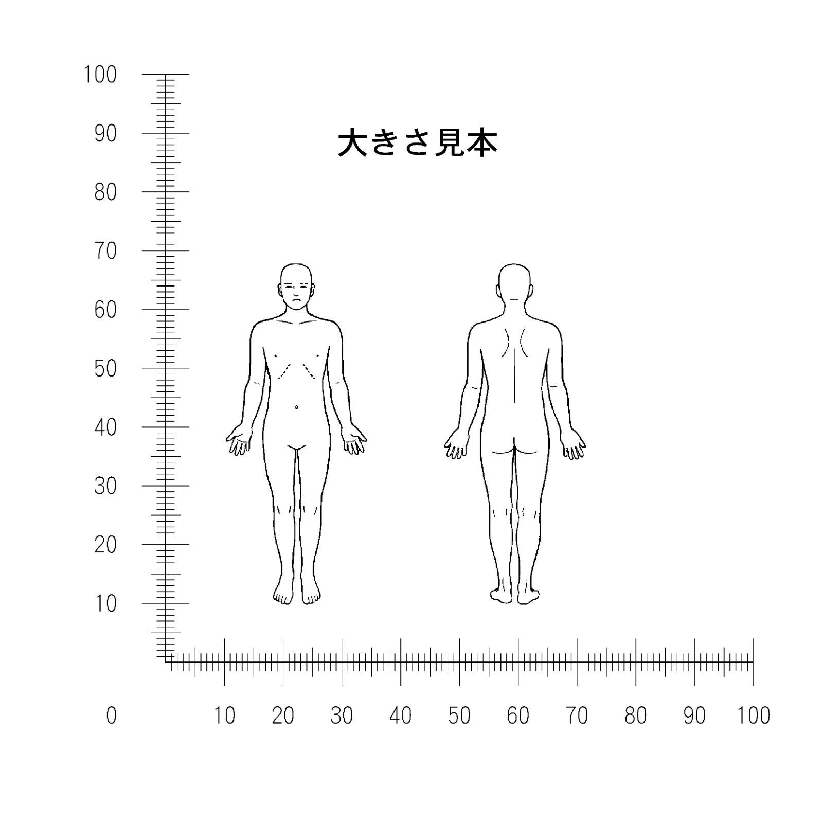 人体図 ゴム印 スタンプ 小 58mm×24mm / 全身 前面 後面 単品 医療用 カルテ用 業務用 記録用 申し送り 医者 先生 看護師 ...