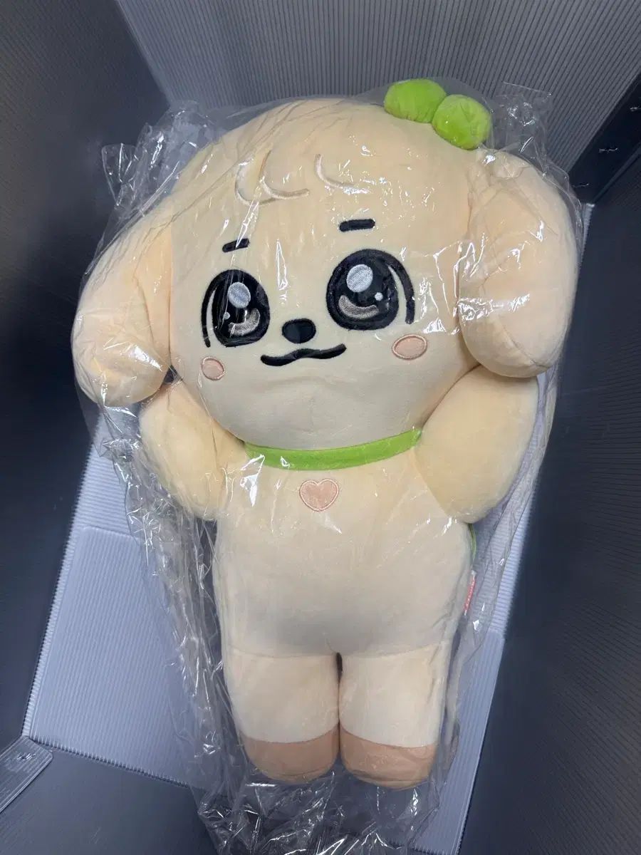 未開封) IVE（アイヴ） MINIVE（ミニヴ） メガクッション カンアンジ