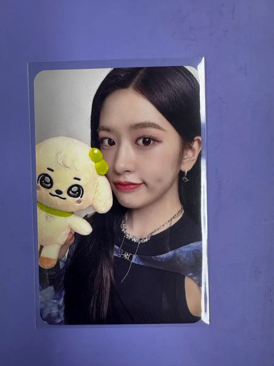 未開封) IVE（アイヴ） MINIVE（ミニヴ） メガクッション カンアンジ