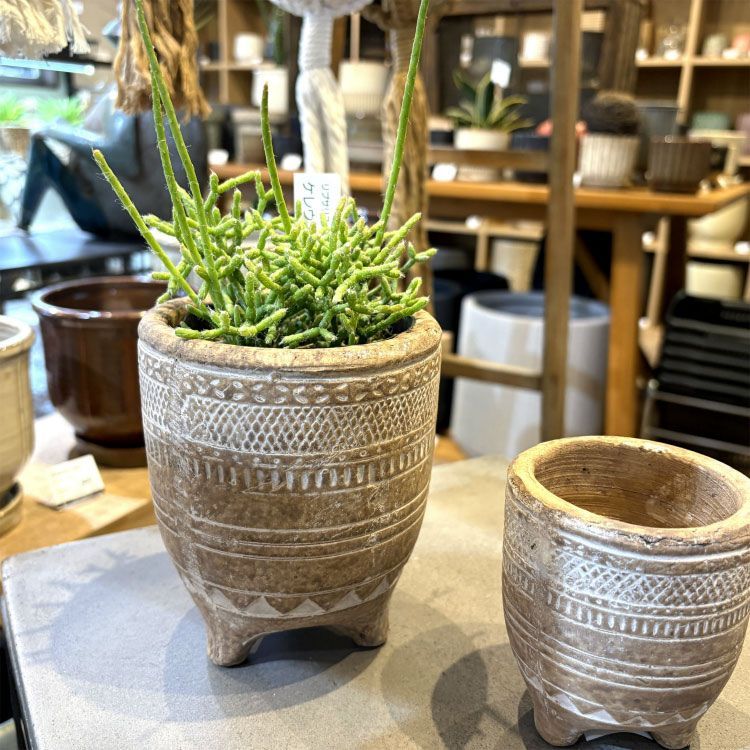 植木鉢 おしゃれ セメント トライバリズムポット MY1822-110 3.5号