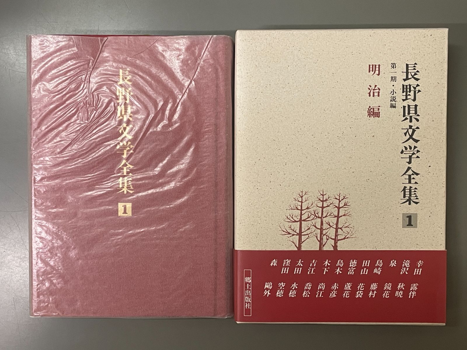 長野県文学全集 第一期 小説編 第1巻 明治編 - メルカリ