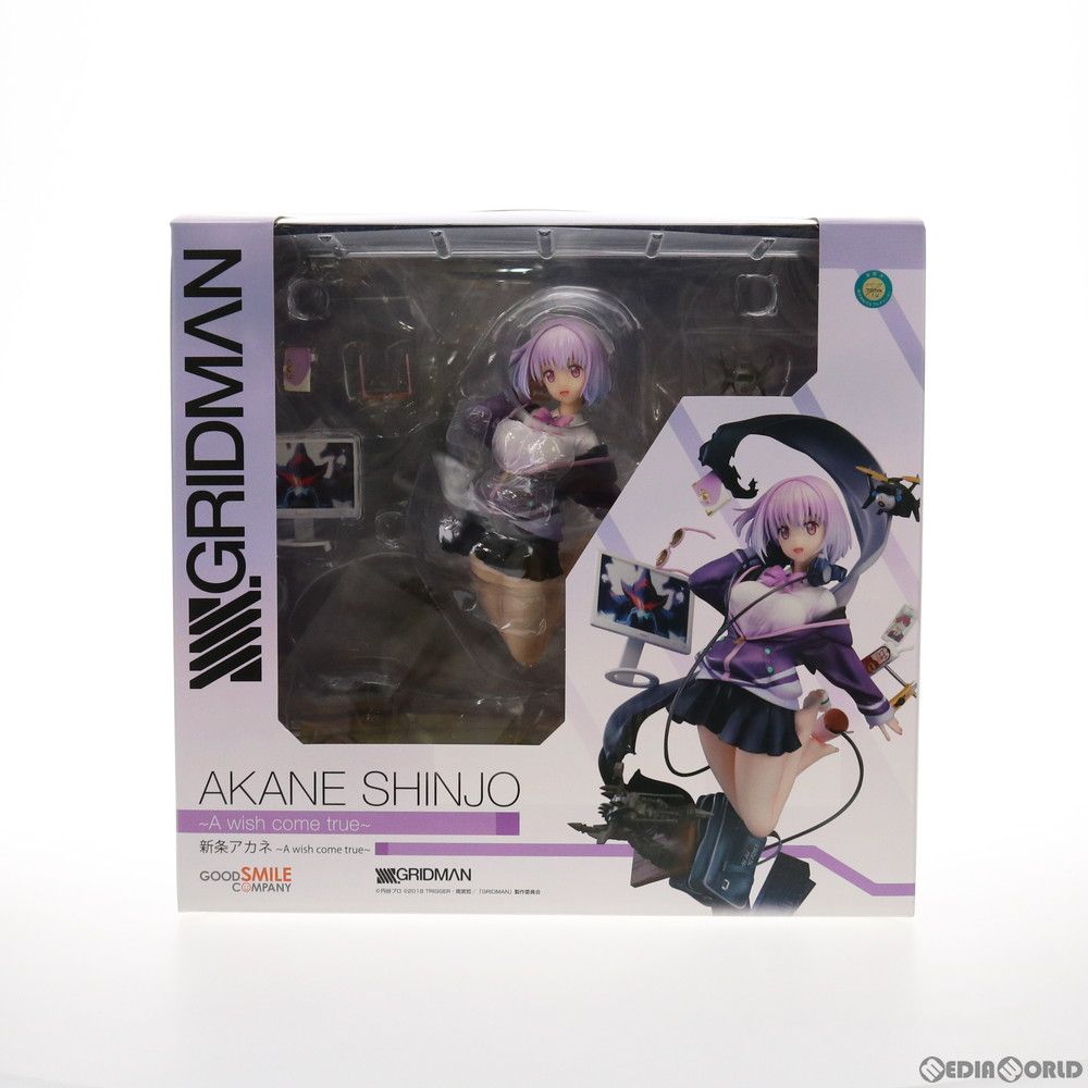 新条アカネ(しんじょうあかね) 〜A wish come true〜 SSSS.GRIDMAN