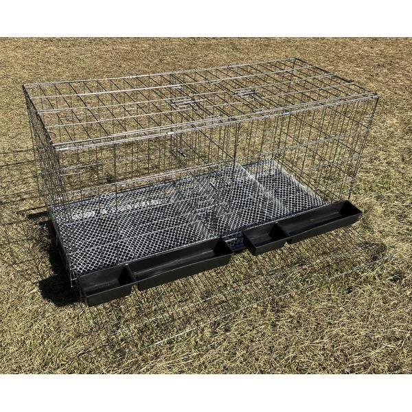 大型 鳥かご バードケージ 鳥籠 高さ650×幅1200×奥行500mm 烏骨鶏 鶏