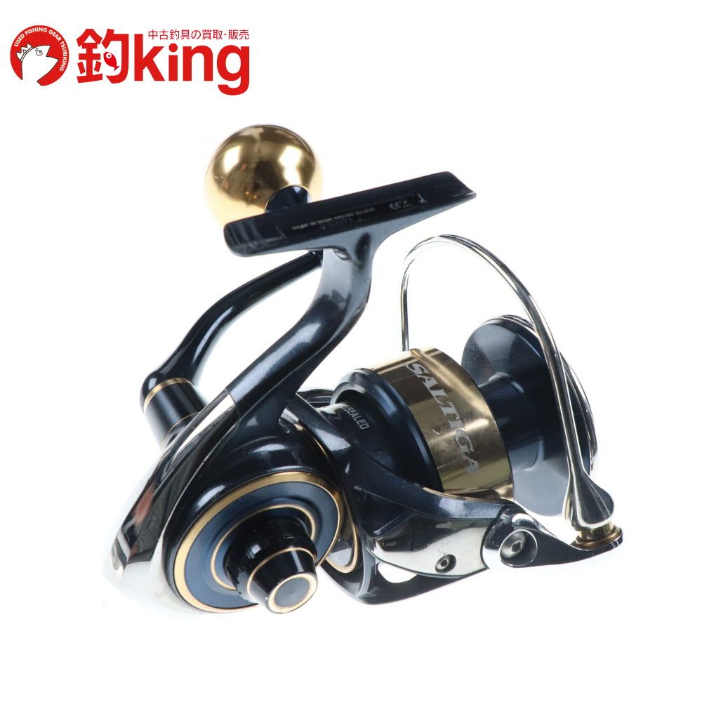 中古】 ダイワ 20 ソルティガ 14000-P SLPワークススプール付 /C290M