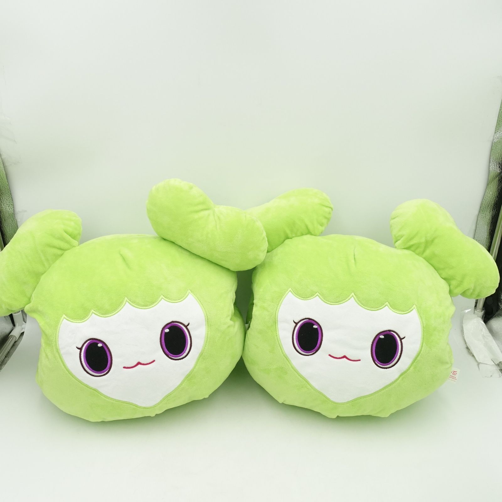 TWICE LOVELYS ジョンブリー ジョンヨン GIGO限定 2024 SUMMER WINTER