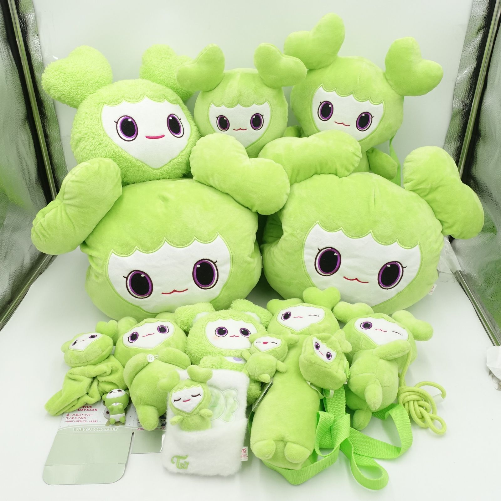 TWICE LOVELYS ジョンブリー ジョンヨン GIGO限定 2024 SUMMER WINTER