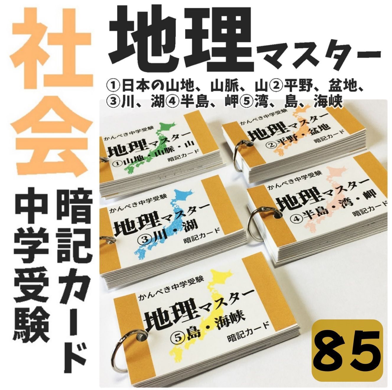 新品，爆買い 【100】中学受験 算数・国語・理科・社会 暗記カード