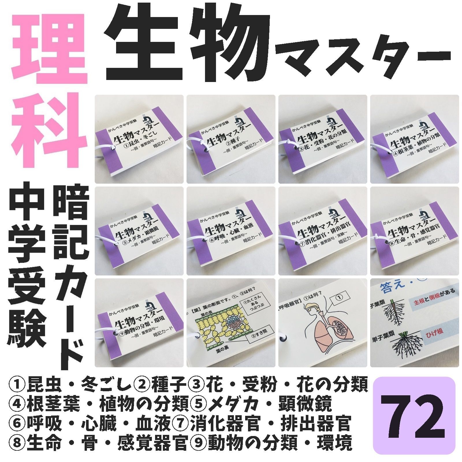 新品，爆買い 【100】中学受験 算数・国語・理科・社会 暗記カード