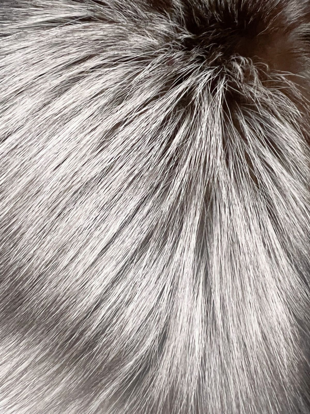 銀狐 SAGA FOX サガフォックス ファー シルバーフォックス - メルカリ