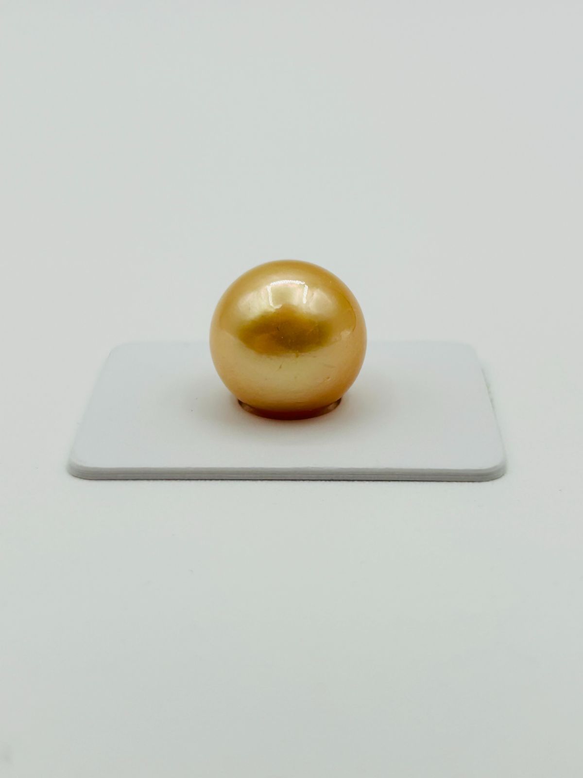 真珠 南洋 白蝶 ナチュラルゴールド パール ルース 15.5㎜UP 1PCS