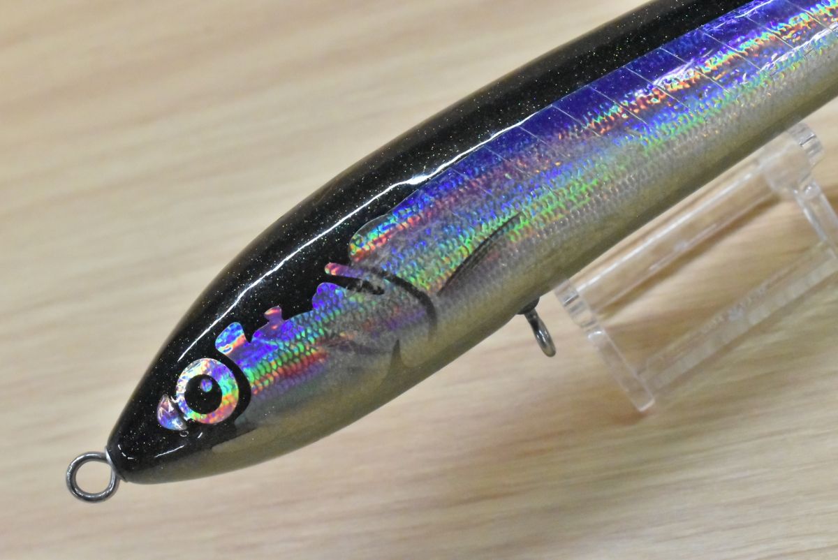 Carpenter BF ブルーフィッシュ 60-170 ブルーフィッシュ60-170 【未