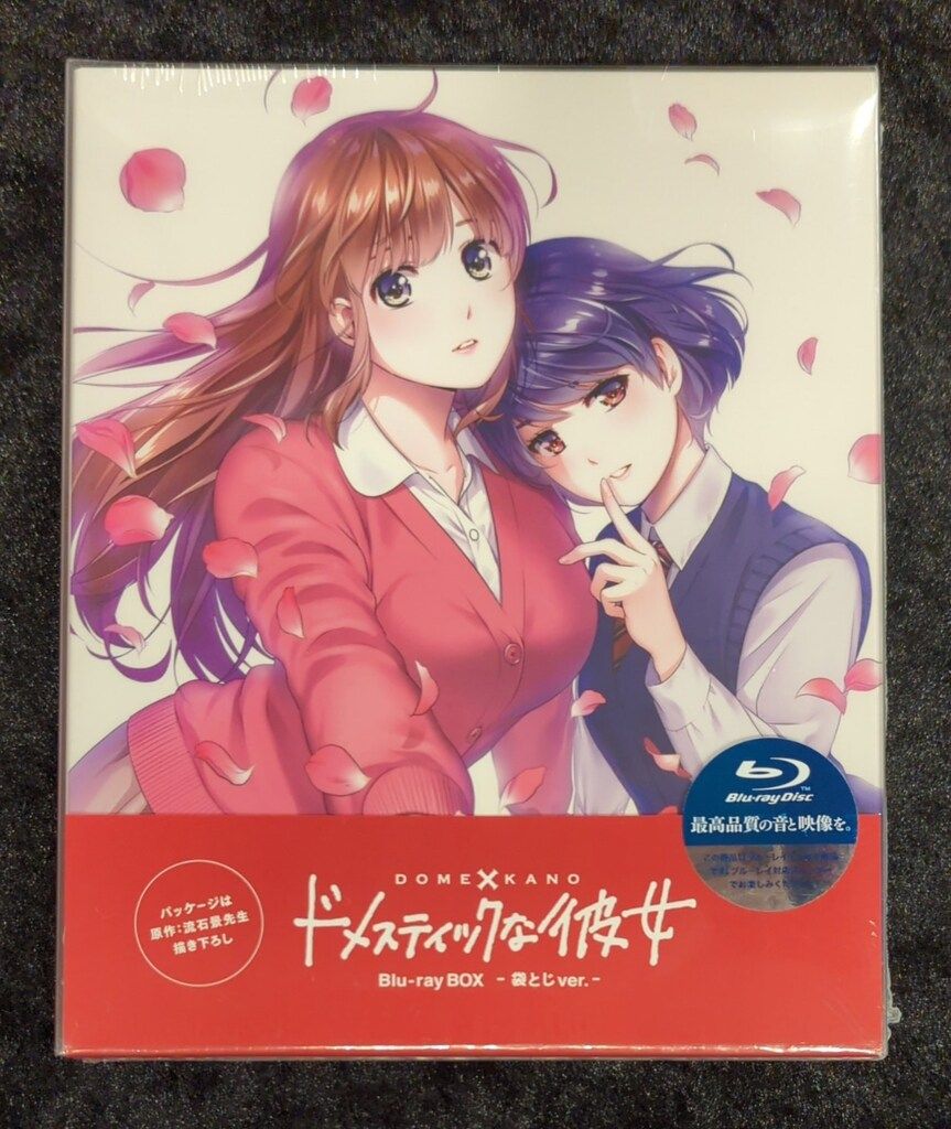 新品]ドメスティックな彼女 Blu-ray BOX 【公式通販】