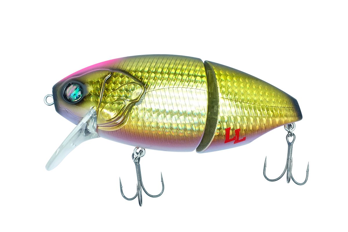 ファットラボ ネコソギルLL 金ブナ TK0092 - メルカリ