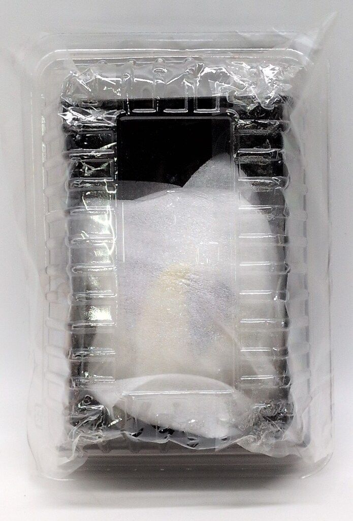 UNKNOWN KUCHIGO パステル塗装 矯正:有