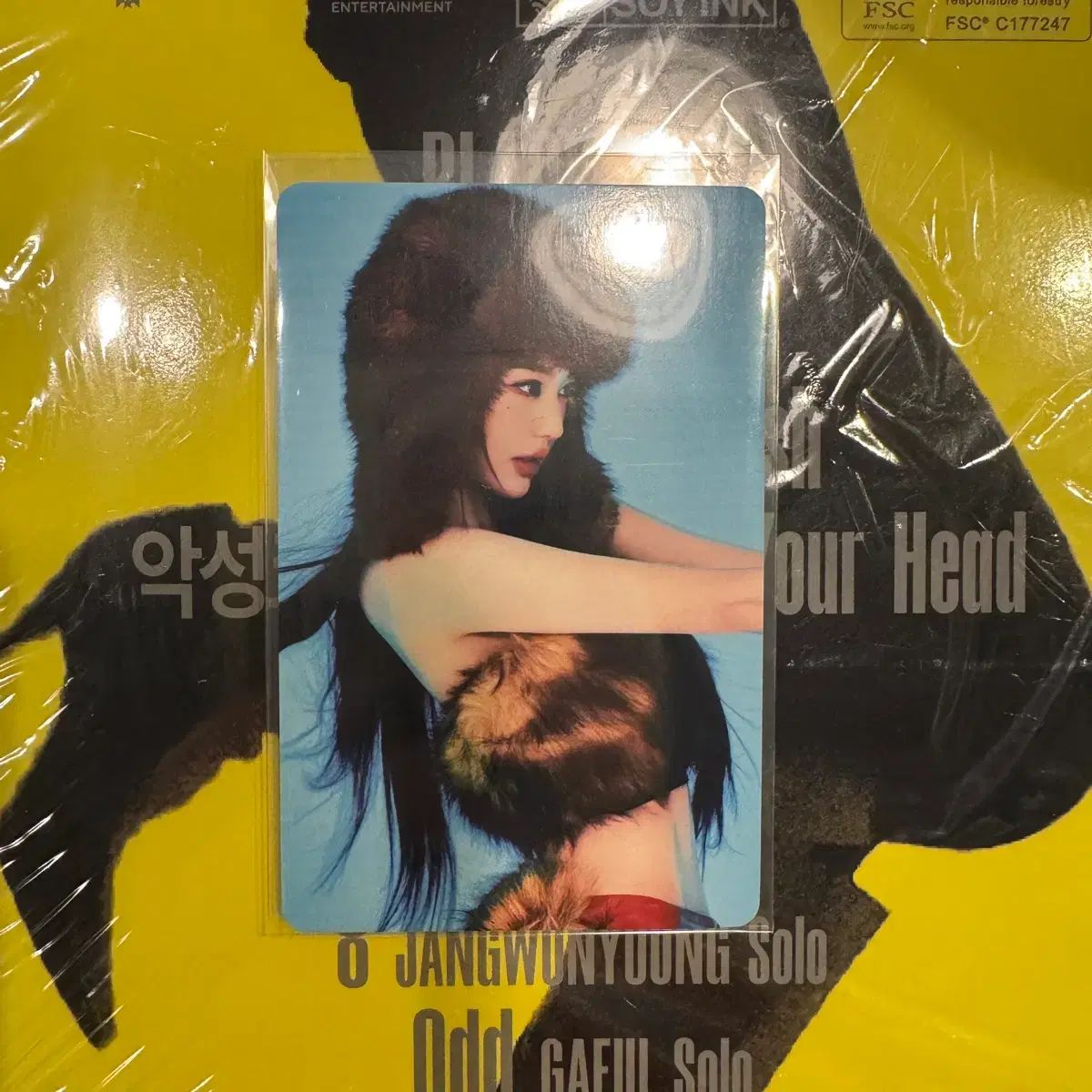 IVE（アイヴ）チャンウォニョン ヨンプン文庫 MUSICART ミュージック