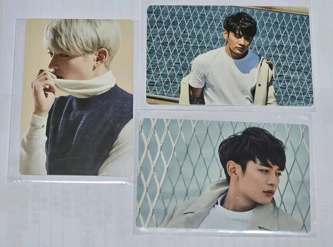 SHINeeミンホ 2016 2017シーグリ シーズングリーティング トレカ