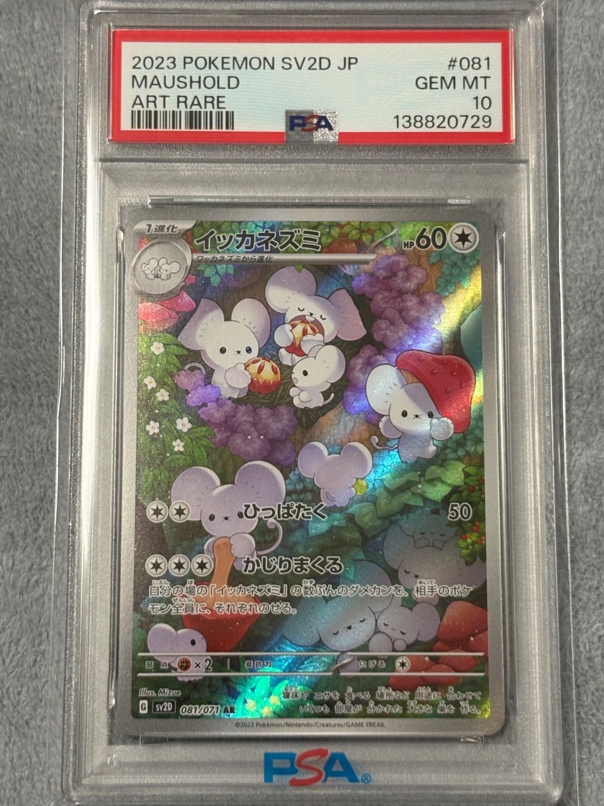 イッカネズミ AR PSA10 - メルカリ