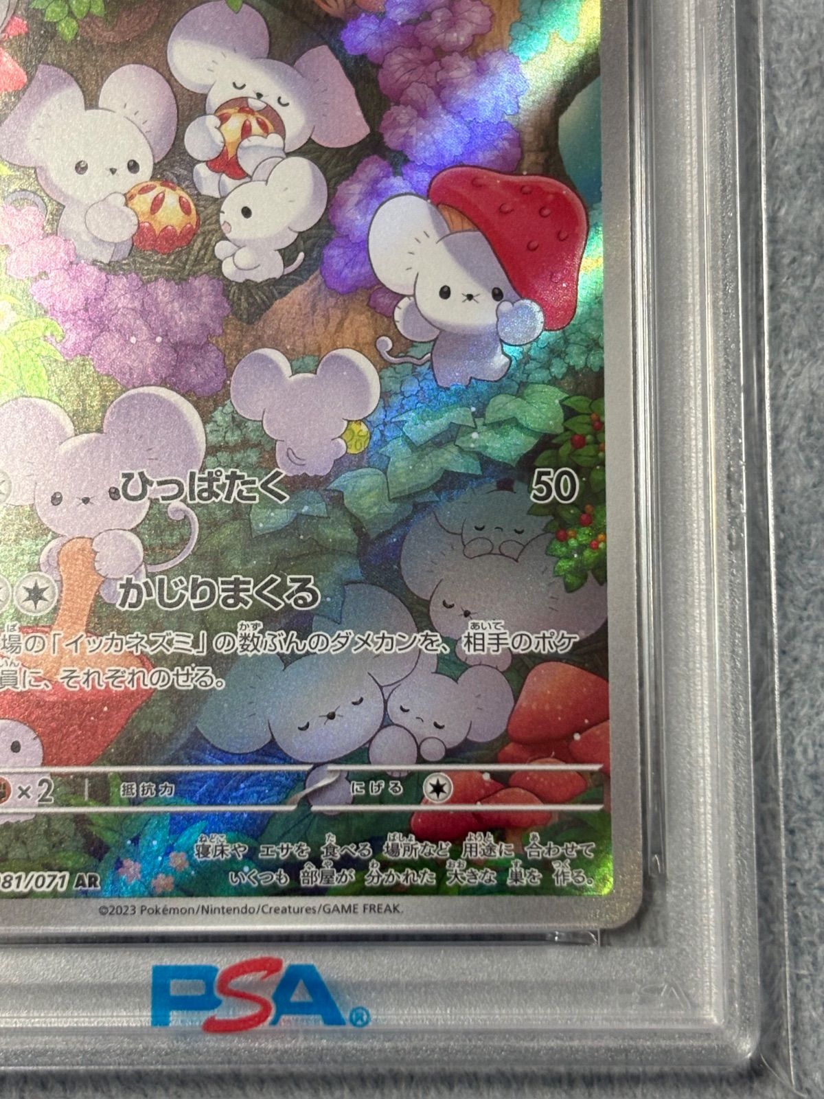 イッカネズミ AR PSA10 - メルカリ