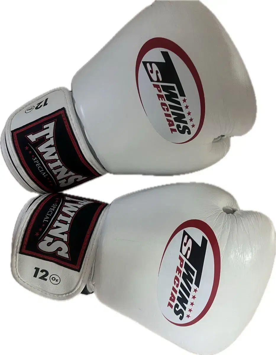 ツインズ TWINS ボクシング キックボクシング ムエタイ グローブ 12
