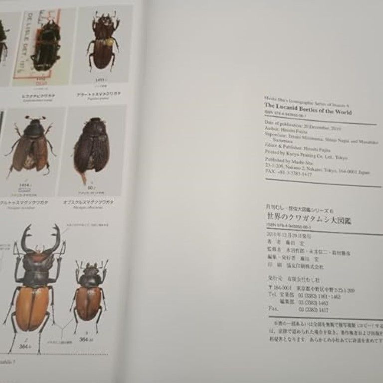 世界のクワガタムシ大図鑑 月刊むし・昆虫大図鑑シリ-ズ 6 藤田宏(昆虫