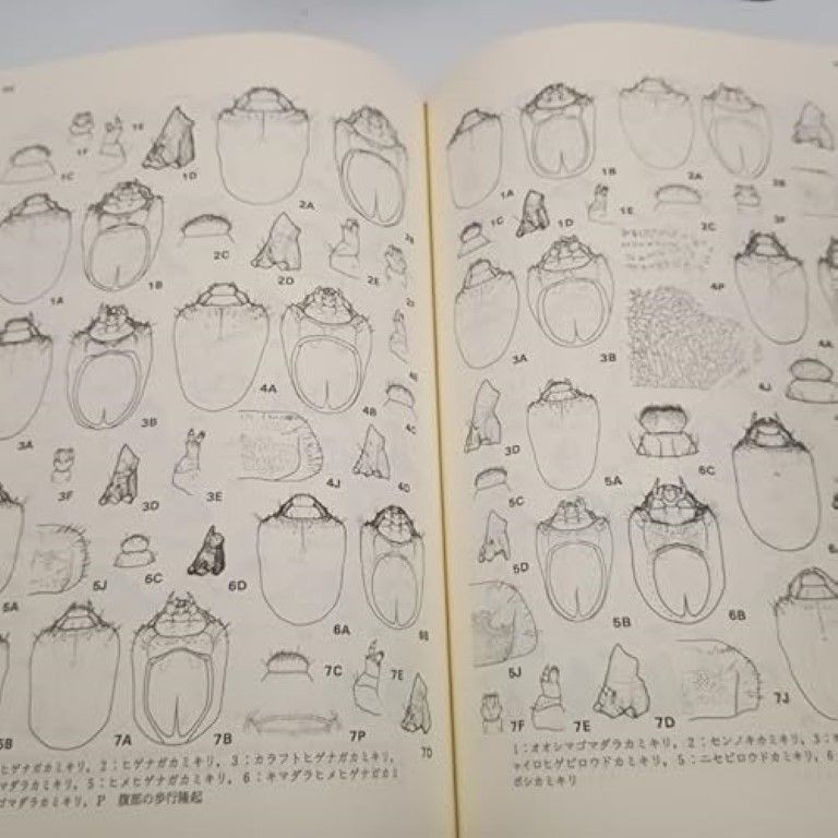 希少・専門書】＜復刻版＞日本産カミキリ大図鑑 【公式通販】