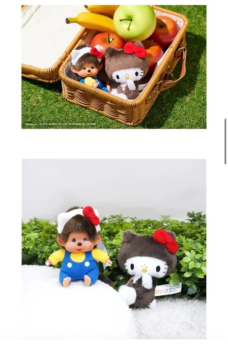 マルニ「地中海ロイヤル」コレクションケース キュリオケース スリム