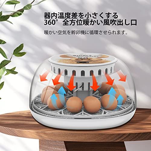 LifeBasis 自動孵卵器 インキュベーター 鳥類専用ふ卵器 自動転卵式