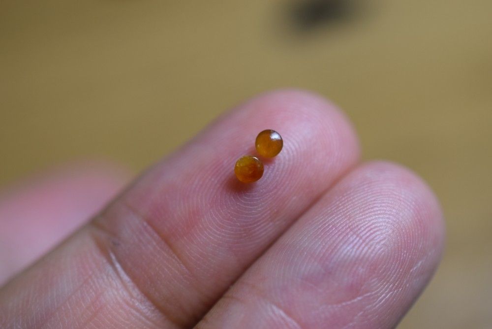 RS12-152 ミニ 氷種 黄翡翠 ミャンマー産 A貨 本翡翠 ルース 硬玉