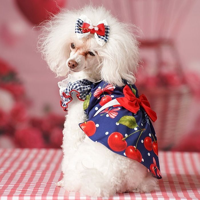 犬服 オリジナルさくらんぼ柄Coolワンピース SS-Lサイズ ブルー