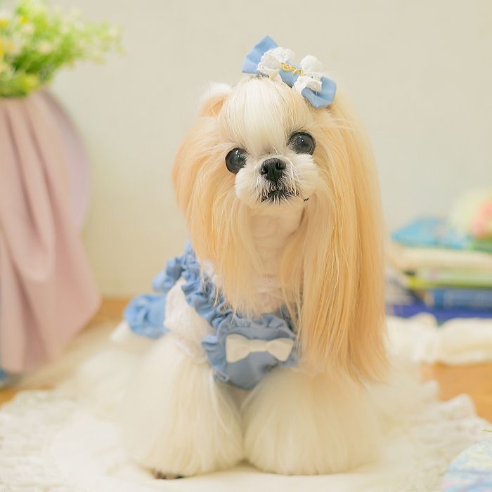 犬服 ストレッチデニムキャミワンピース SS-Lサイズ インディゴブルー