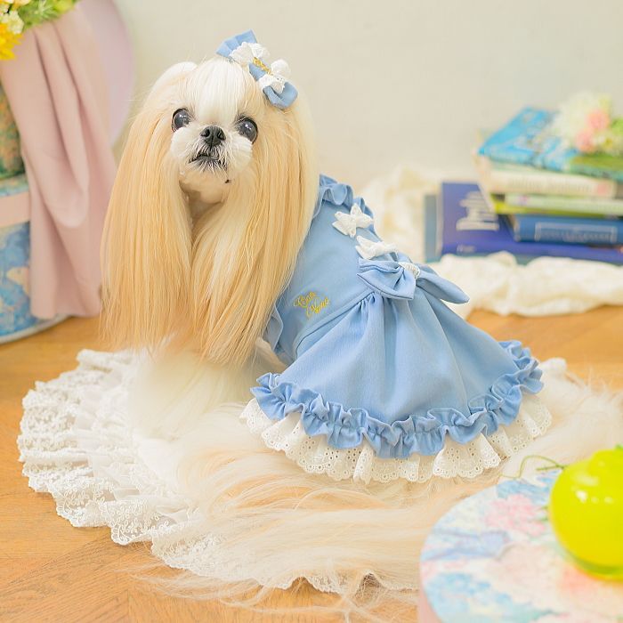 犬服 ストレッチデニムキャミワンピース SS-Lサイズ インディゴブルー