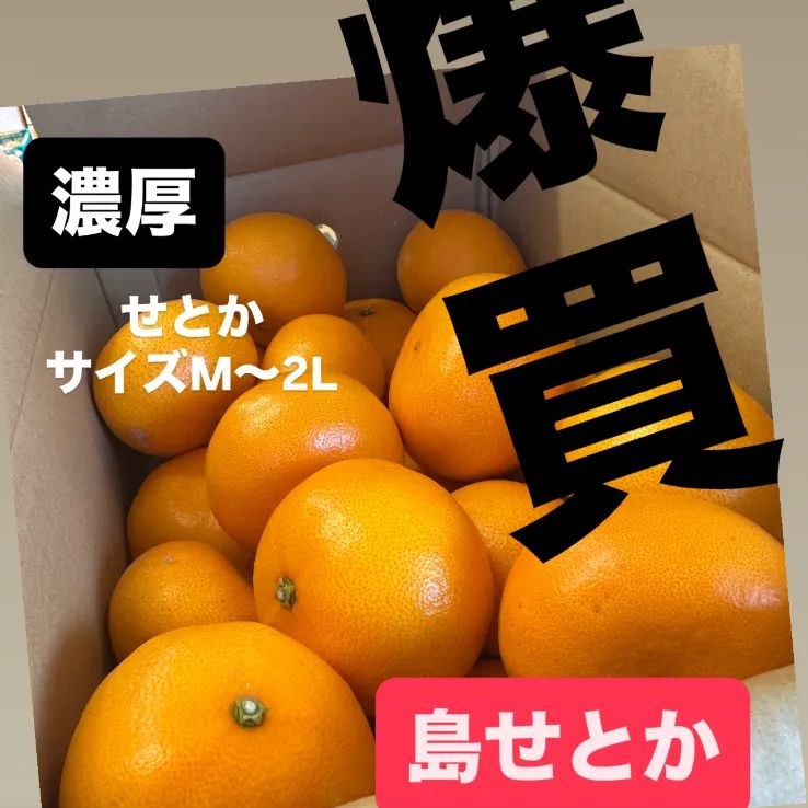 🍊希少！島せとか5kg 訳ありなし美品 愛媛産 - メルカリ