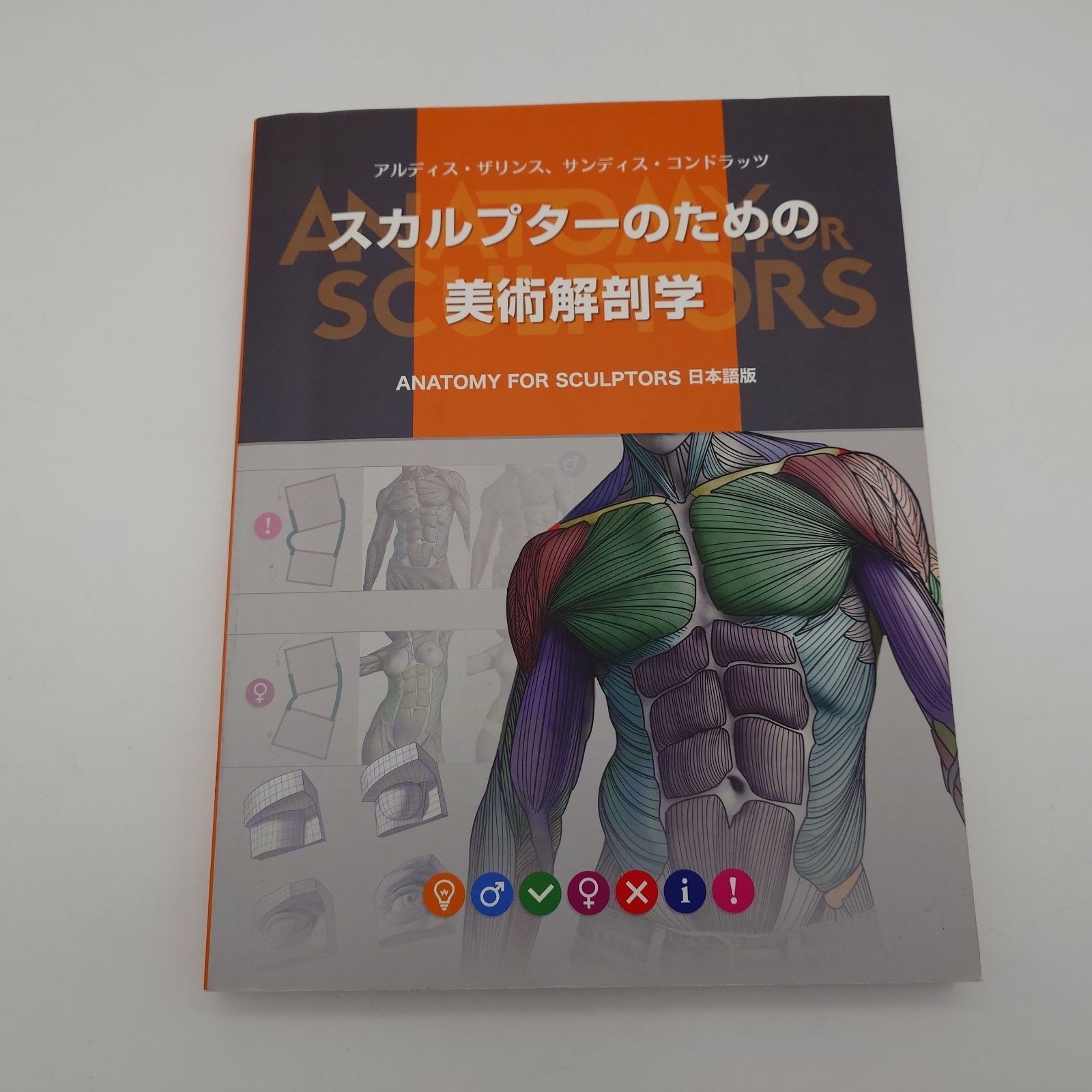 7 スカルプターのための美術解剖学 -Anatomy For Sculptors日本語版