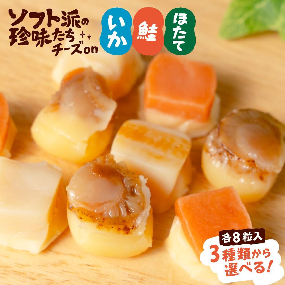 北海道 珍味種類 うさ様専用 鮭とばそーめん 他 おつまみ珍味セット
