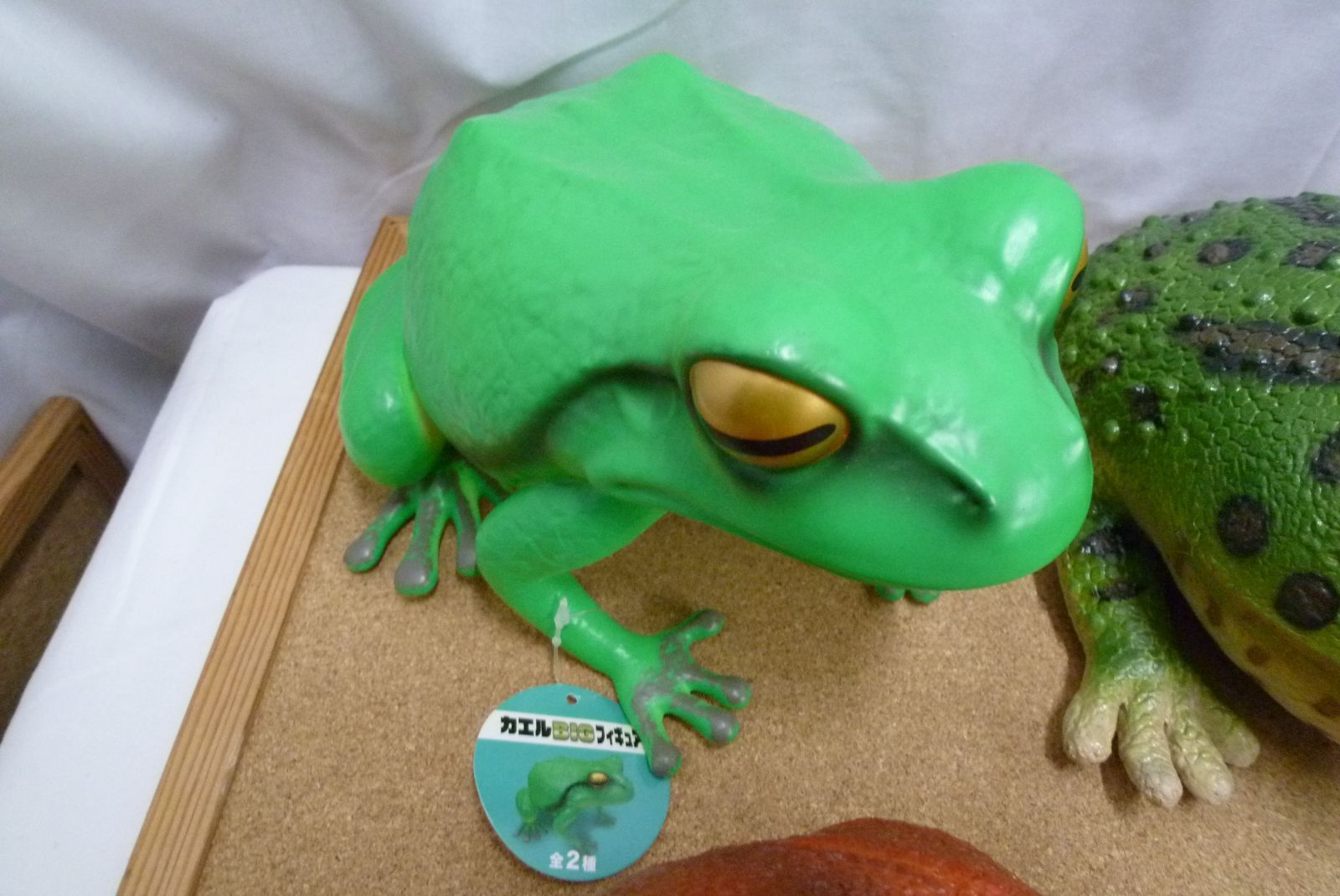 タグ付き 現状品