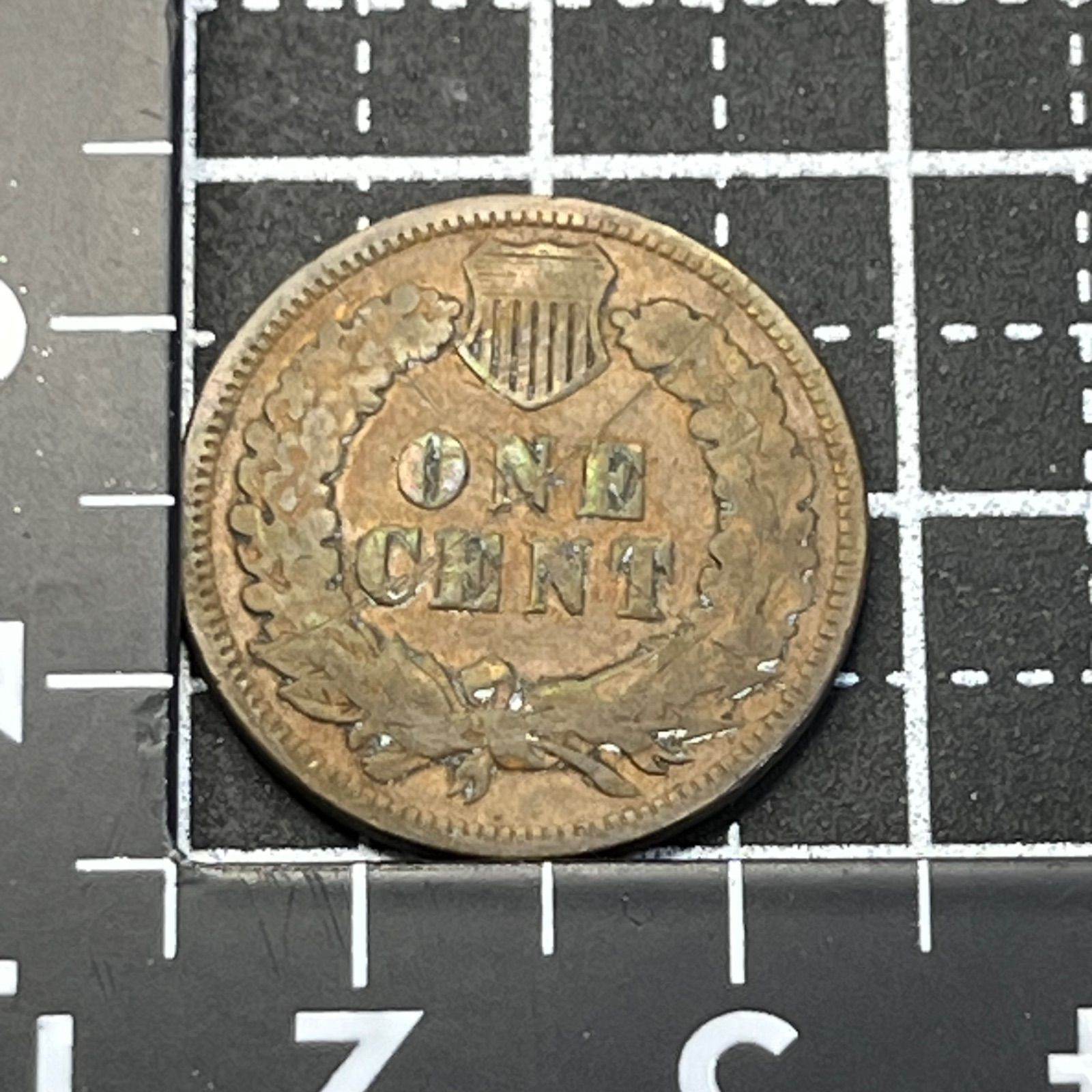 1896年 アメリカ インディアンヘッド 1セント銅貨 ONE CENT 19世紀米国