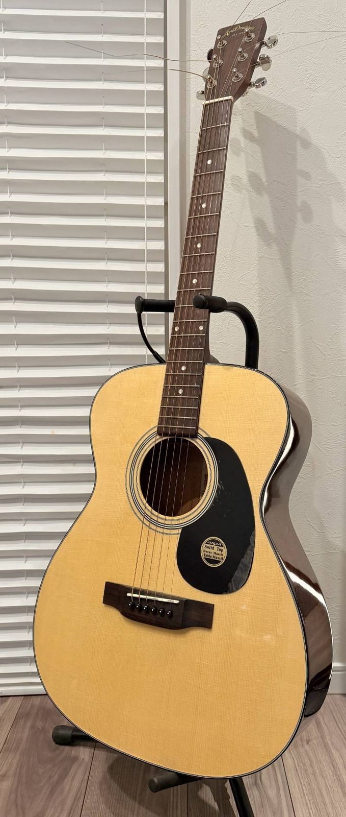 Aria Dreadnought AF-280N アコースティックギター 単板トップ アリア