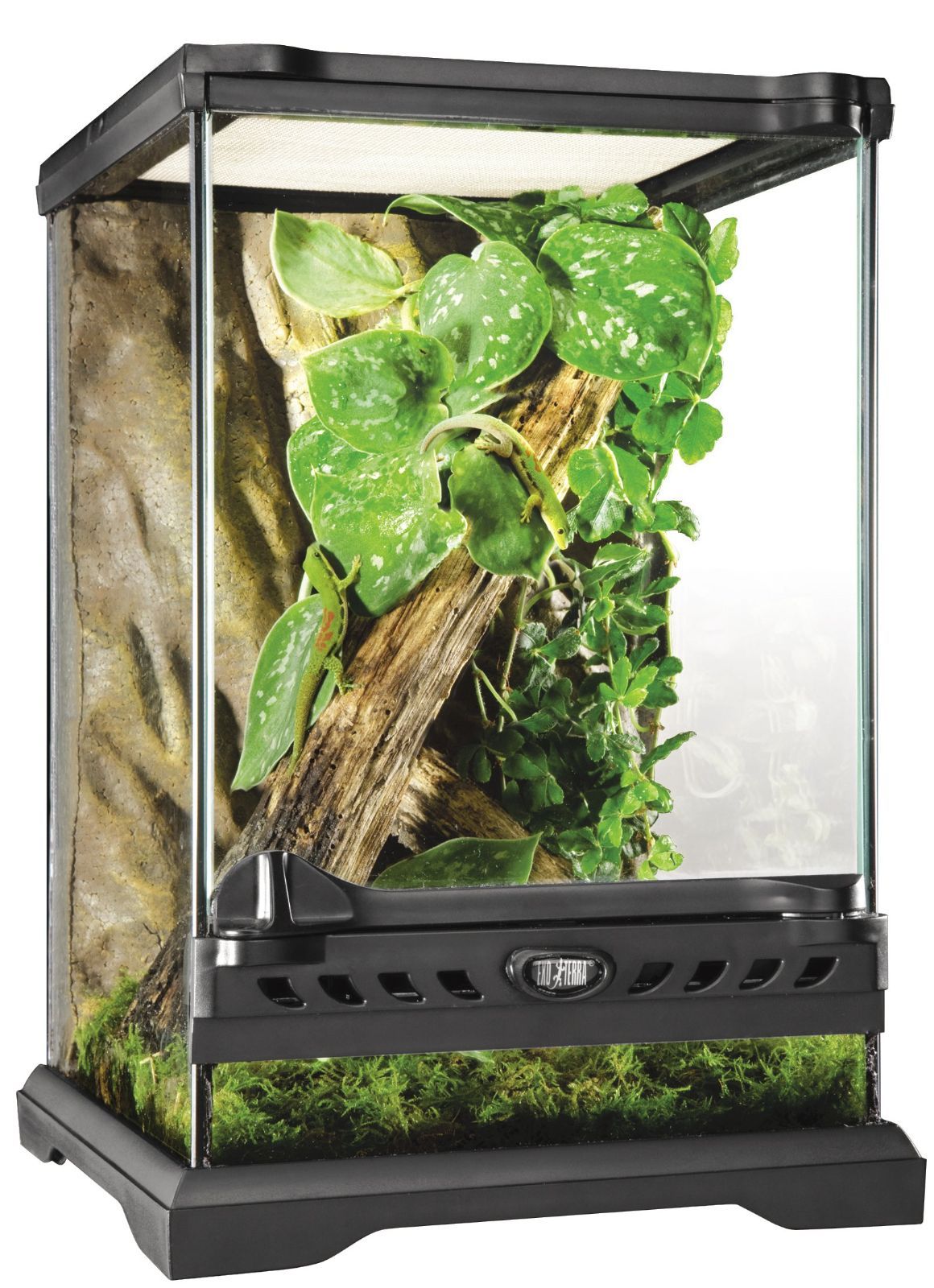 ジェックス EXO TERRA (エキゾテラ) グラステラリウム ナノ PT2601
