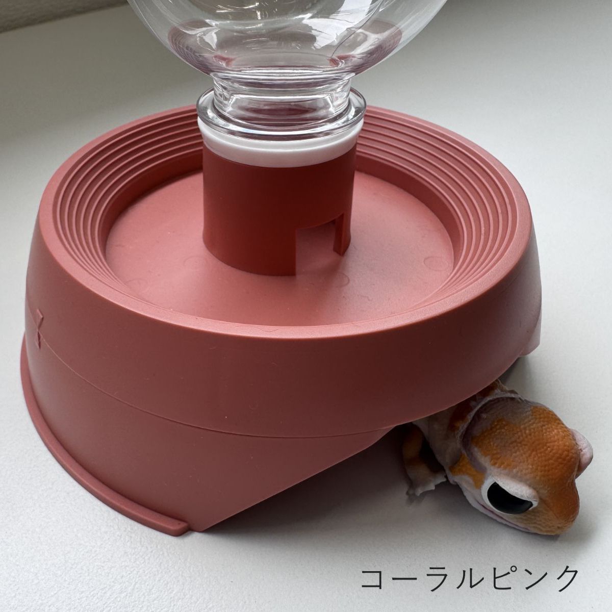 爬虫類シェルター　405 ヒトデピンク 2カラーセット】とかげのいえS 爬虫類 シェルター 隠れ家 水入れ 水