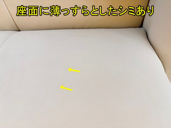 ヤブレあり F-RA-233-0226A