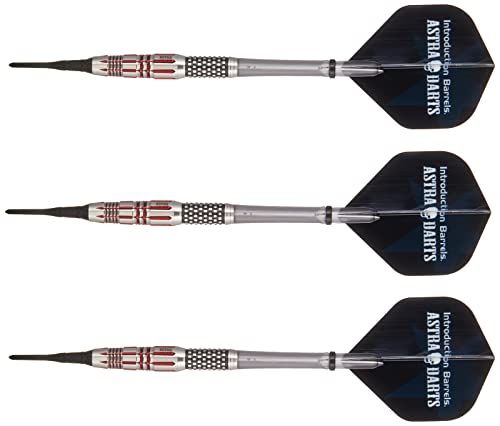 アストラダーツ レッドスター ヒューズ 2BA バレル aad0293