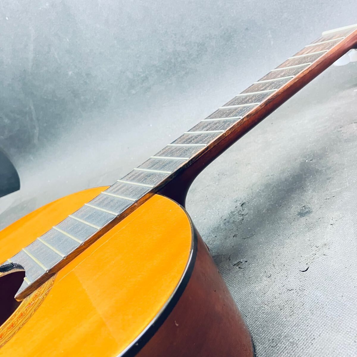 MORRIS ギター 弦なし MORRIS (モーリス) アコースティックギター W-35