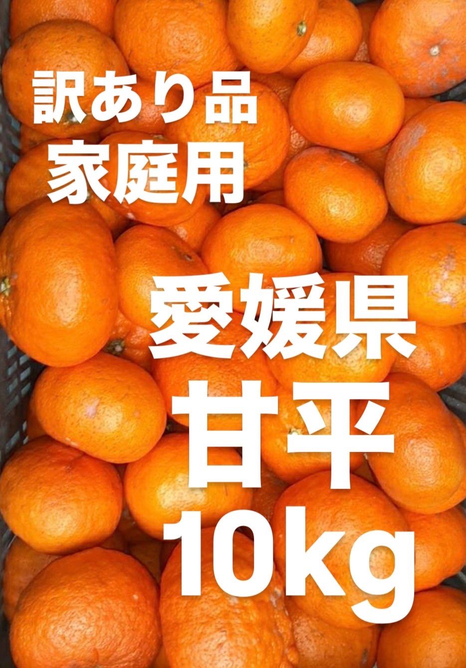 愛媛県 家庭用 甘平 柑橘 10kg