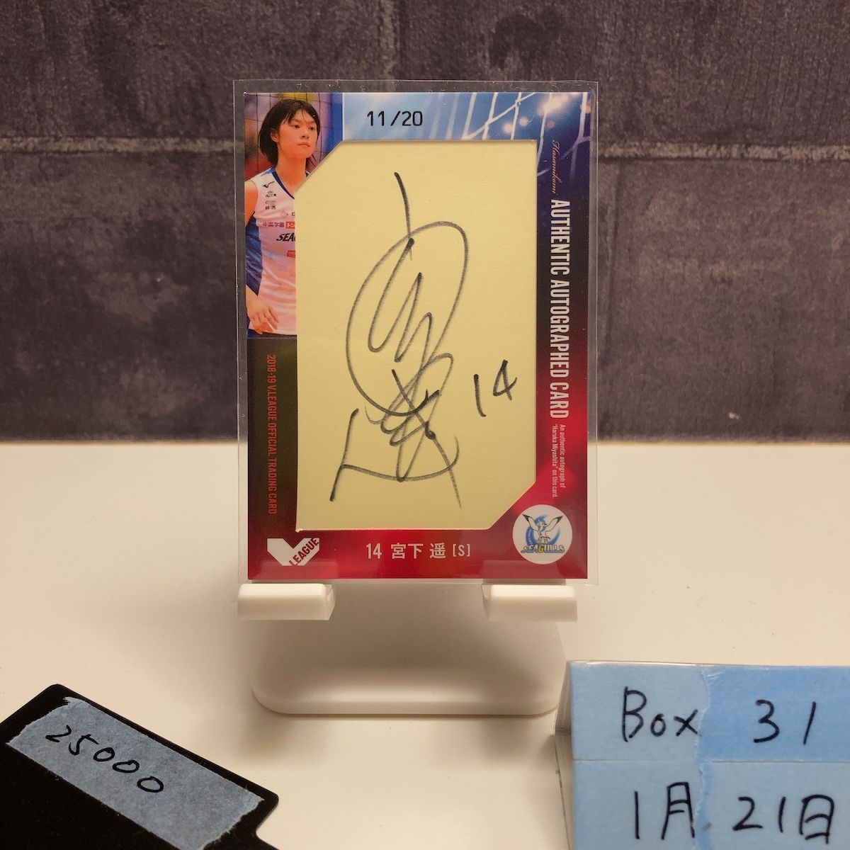 2018-19 V.LEAGUE 宮下遥 11/20 直筆サインカード 岡山シーガルズ