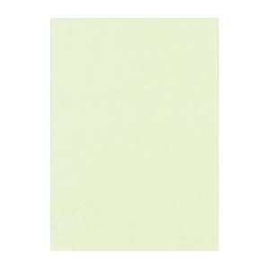 （まとめ） 文運堂 ニューカラーR 四ツ切 横392×縦542mm 4NCR-133 メロン 100枚入 〔×2セット〕