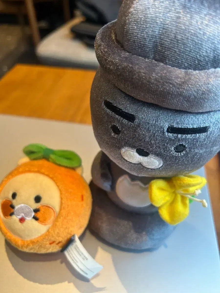 チェジュ産 チュンシク ライオン まとめ 出品