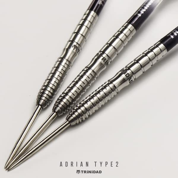  TRiNiDAD PRO Adrian2 Steel トリニダード プロ エイドリアン2 エイドリアン グレイ選手モデル スティール ルールブック ダーツ パズル ボードゲーム