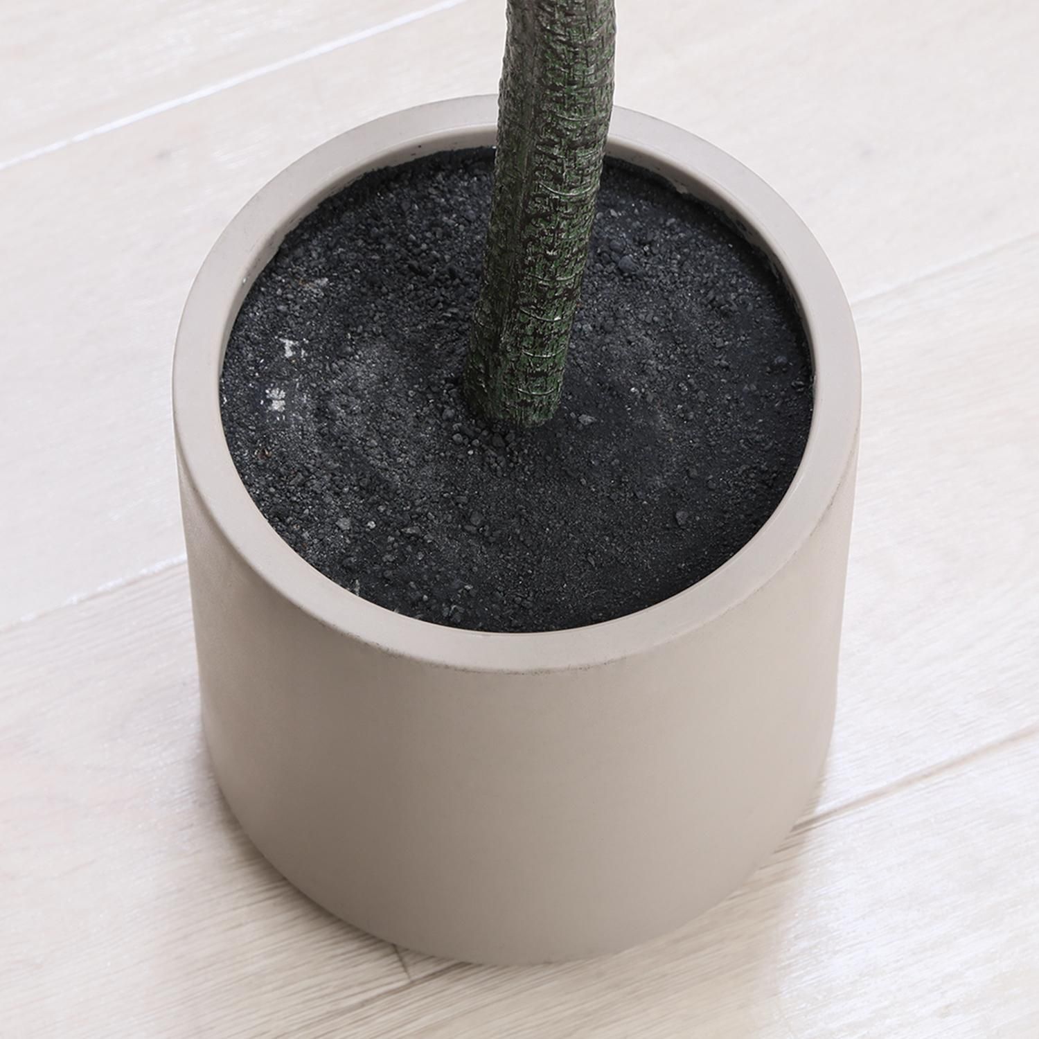 送料無料 人工観葉植物 フェイクグリーン ジャカランダ 高さ160cm（854） ♪フェイクグリーン ジャカランダ ［160cm］ 観葉植物 【公式通販】